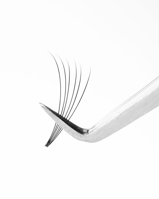 Ventagli Pronti Neri Barbara "Perfect Solution 6D" – 12 Linee MIX