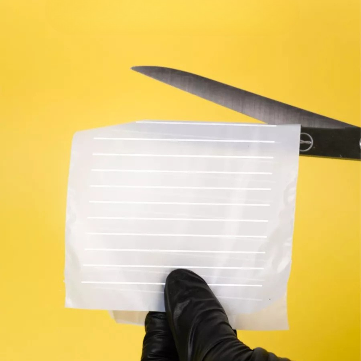 File per LASHCAR