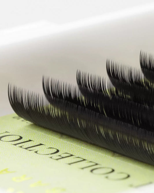 Barbara Elegant Black Eyelash Extensions 16 Lines MIX