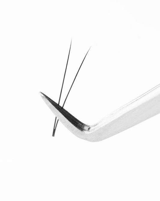 Ventagli Pronti Neri Barbara "Perfect Solution 2D" – 12 Linee MIX