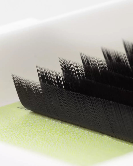 Barbara Elegant Black Eyelash Extensions 16 Lines MIX 