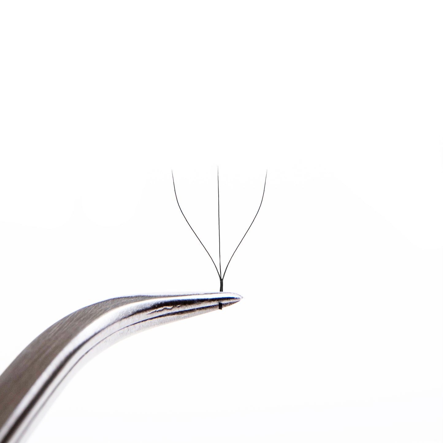 Extension ciglia nere Rili "W-3D" - 12 linee (ventagli pronti)