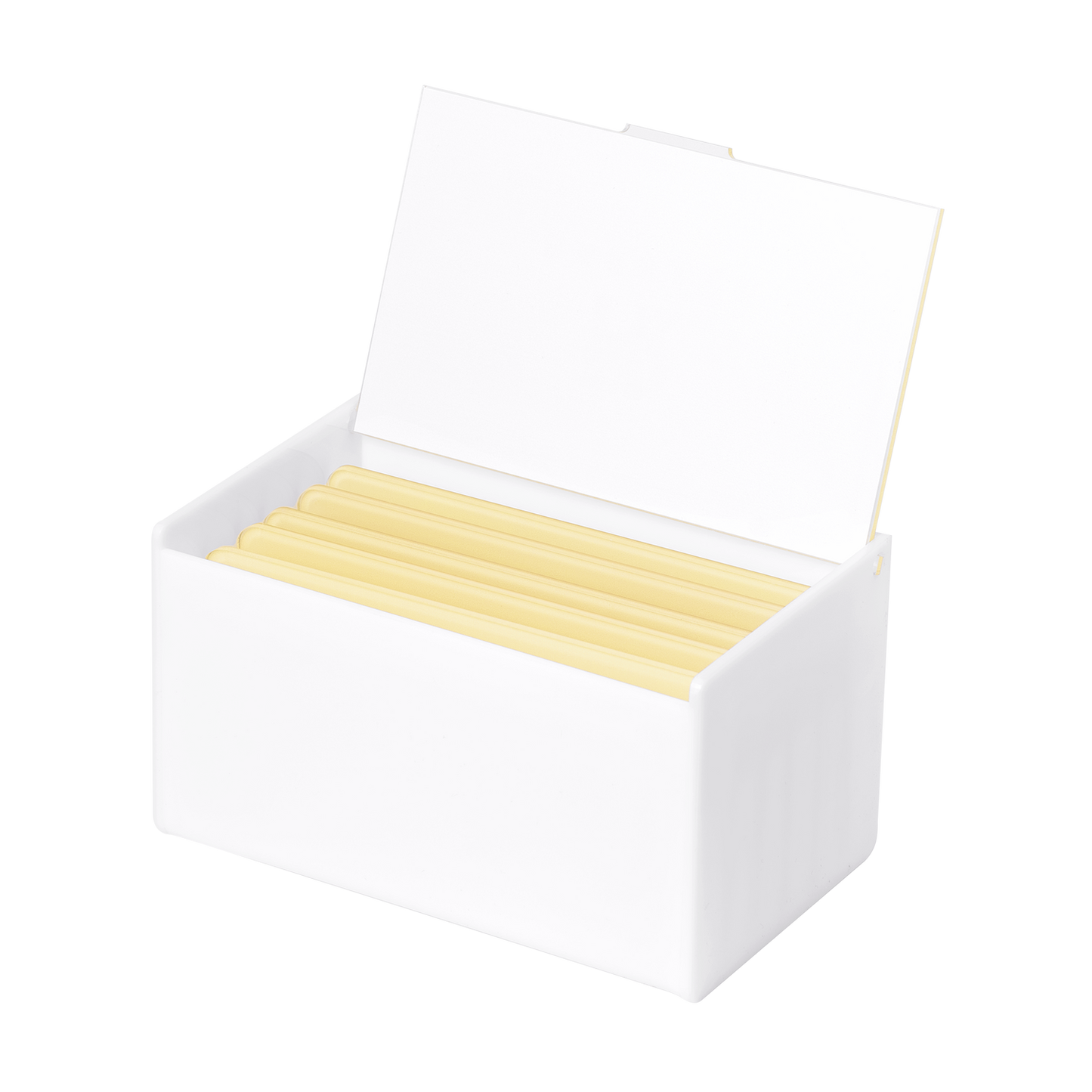Lashbox Barbara Butter – Edizione Originale (5 Lashpad Inclusi)